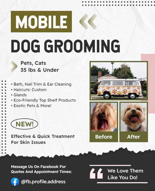 After-Before Dog Grooming Flyer Featuring Visual Comparison and Service Details