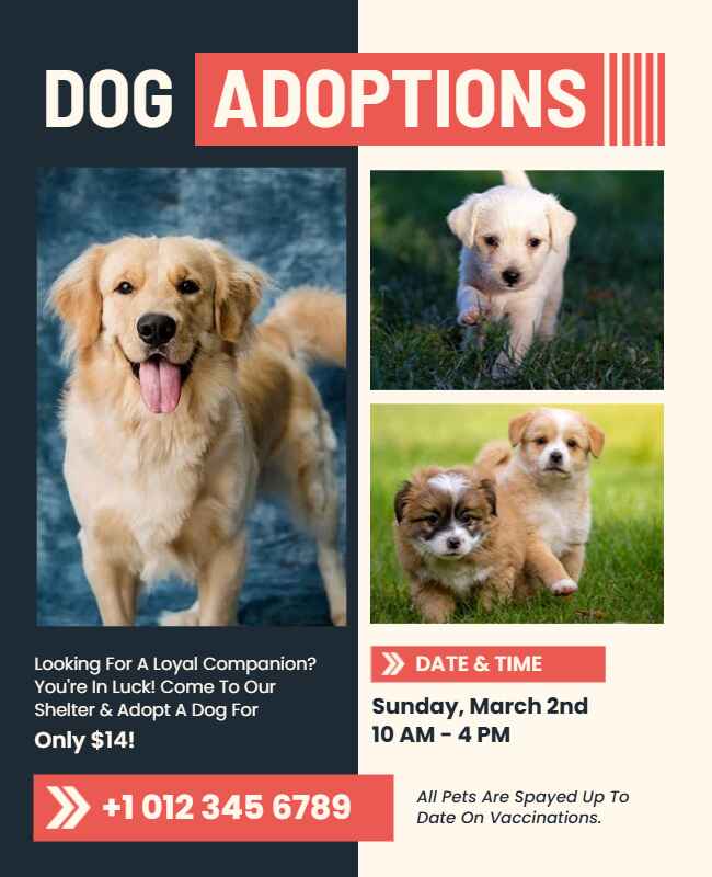 Beige dog adoption flyer with clean design and shelter details.