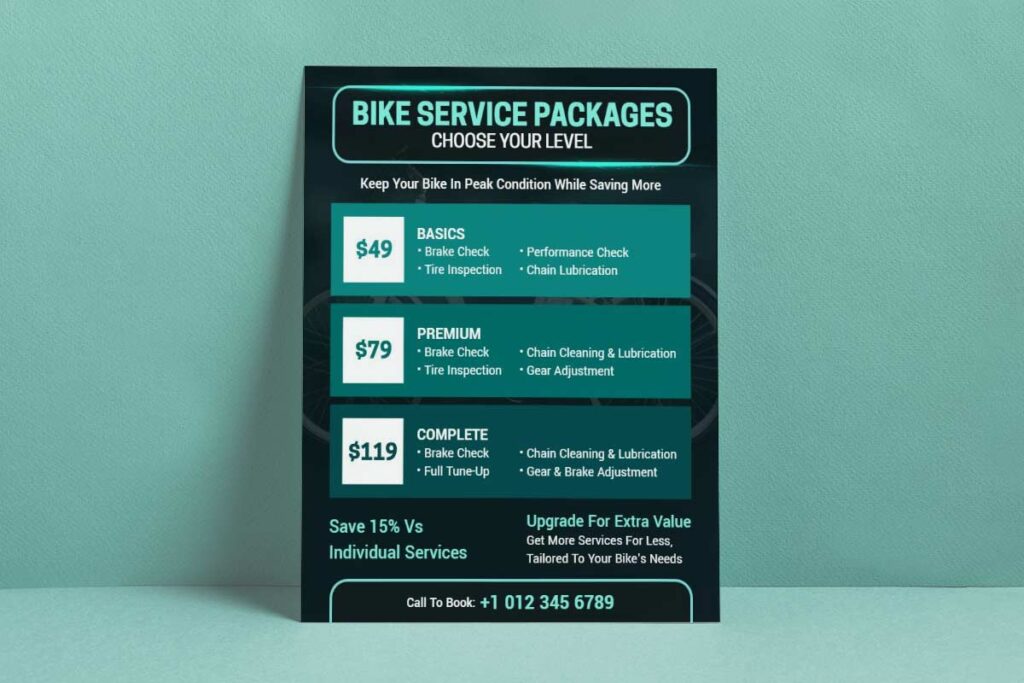 Bike Service Package Options Flyer Template