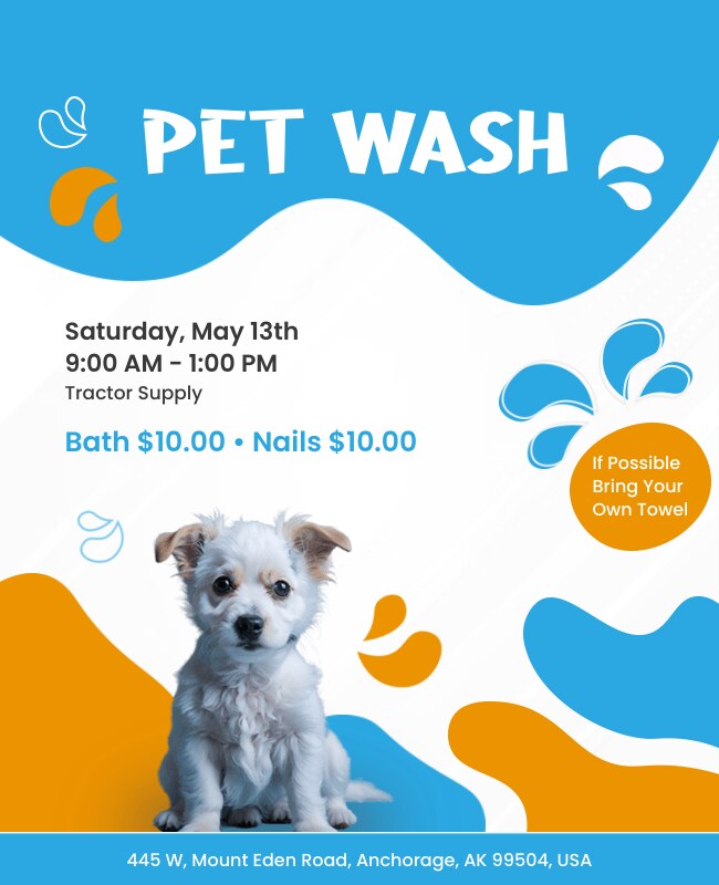 A vibrant flyer showcasing a pet wash service with blue and yellow accents.