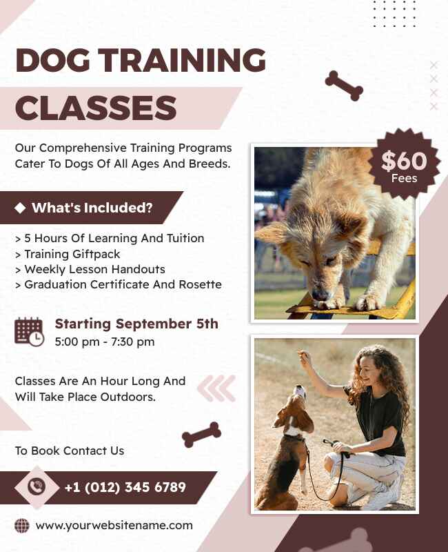 Modern flyer highlighting professional dog training classes.