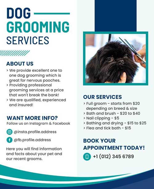 Contact Information Dog Grooming Service Flyer Featuring Clear Design and Service Details