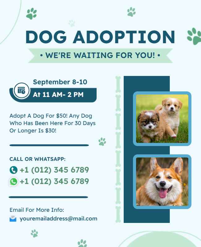 Cute dog adoption flyer with simple info and images.