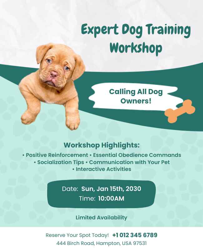 Bright, playful flyer design for basic dog training services.