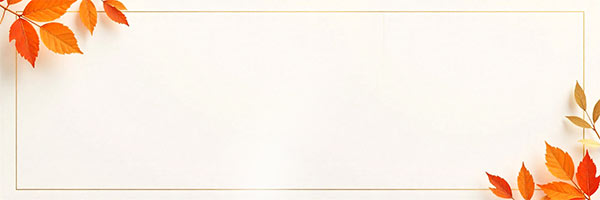 Elegant Minimal Corporate Style Email Header