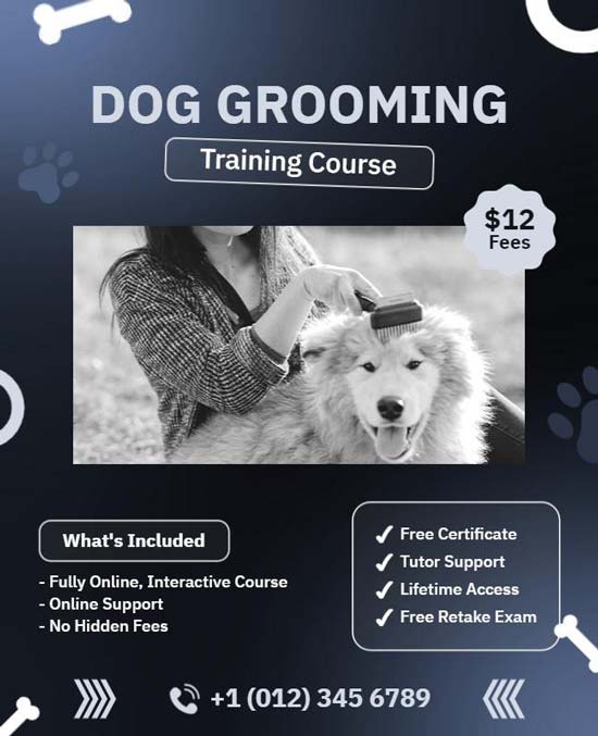 Gradient Dog Grooming Training Course Flyer Featuring Vibrant Design and Course Information