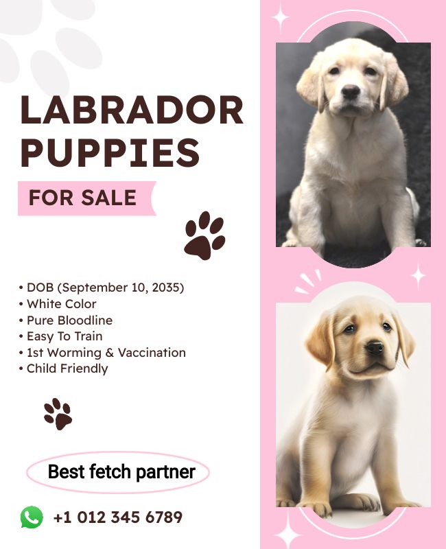 Photo collage flyer showcasing adorable puppies with unique bios.