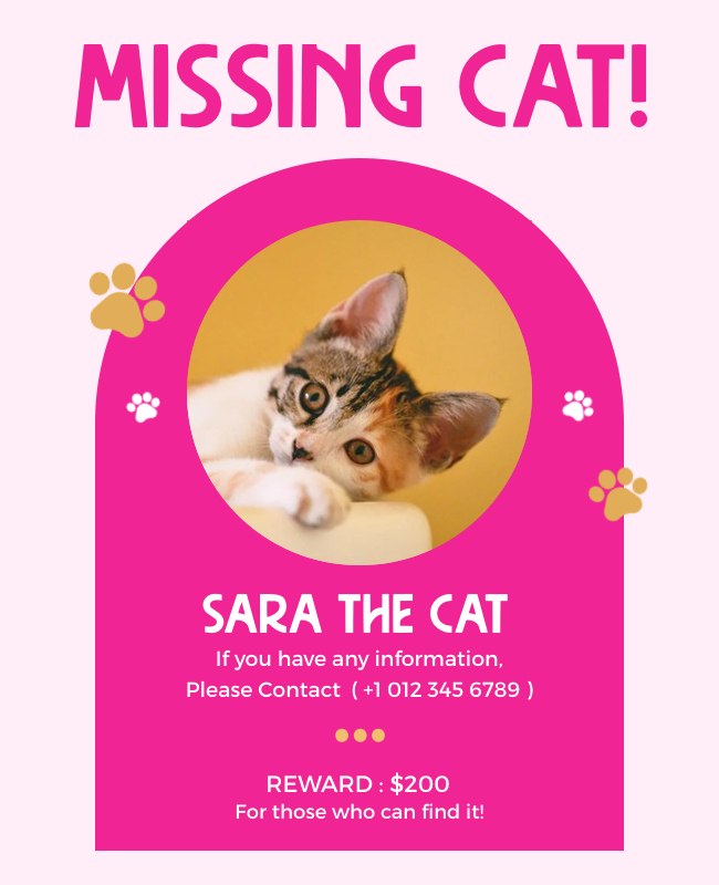 Missing Cat Flyers featuring clear, high-quality photos for better visibility and quick recognition