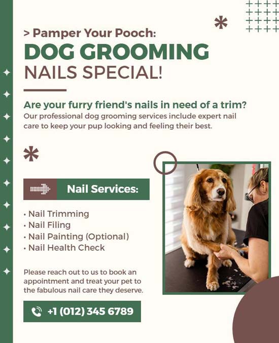 Nails Special Dog Grooming Flyer Featuring Clean Design and Service Details