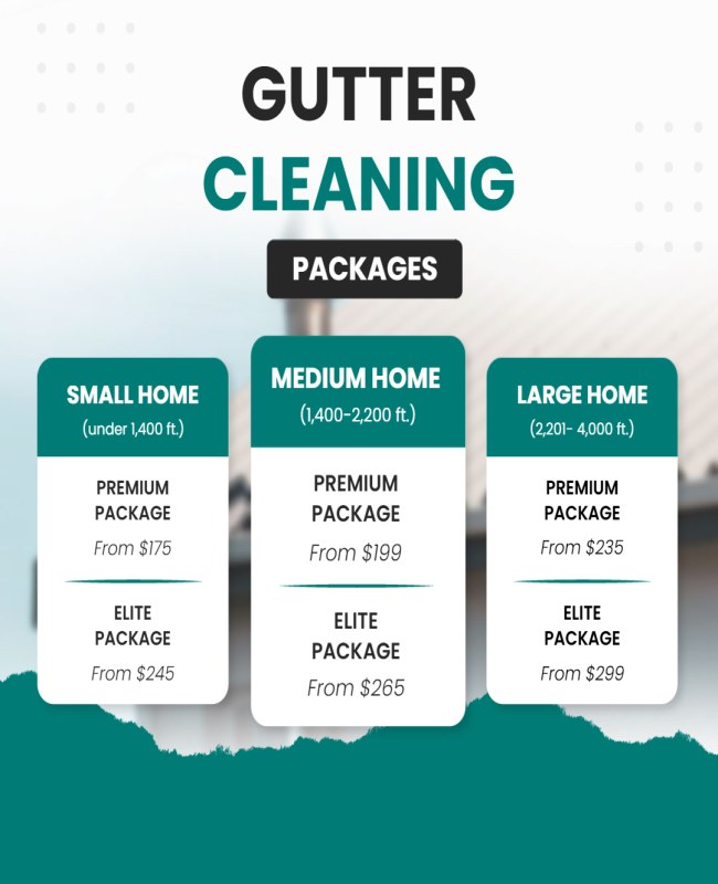 Bundle deal flyer featuring gutter cleaning with roof inspection and window cleaning services.