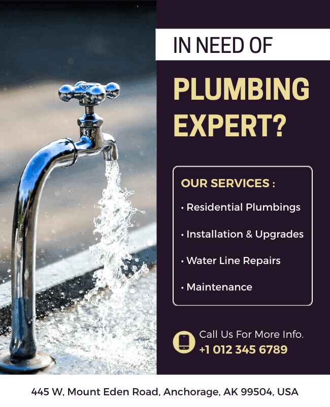 Professional plumbing expert flyer with vibrant design.