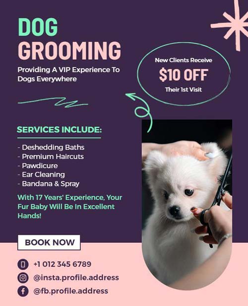 Professional Dog Grooming Discount Flyer Featuring Bold Design and Special Offer Details