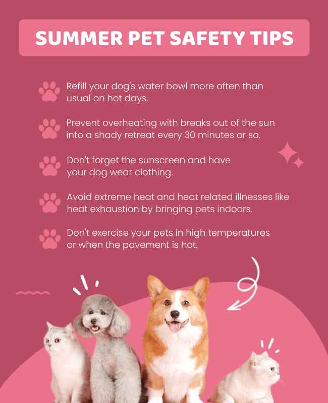 Pink Summer Pet Safety Tips Flyer Template