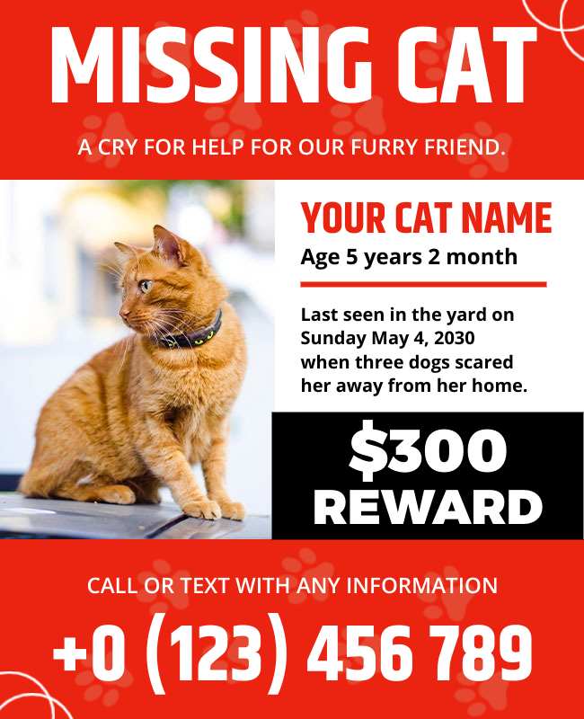 Lost cat flyer with a bold red border, clear text, cat photo, and contact details